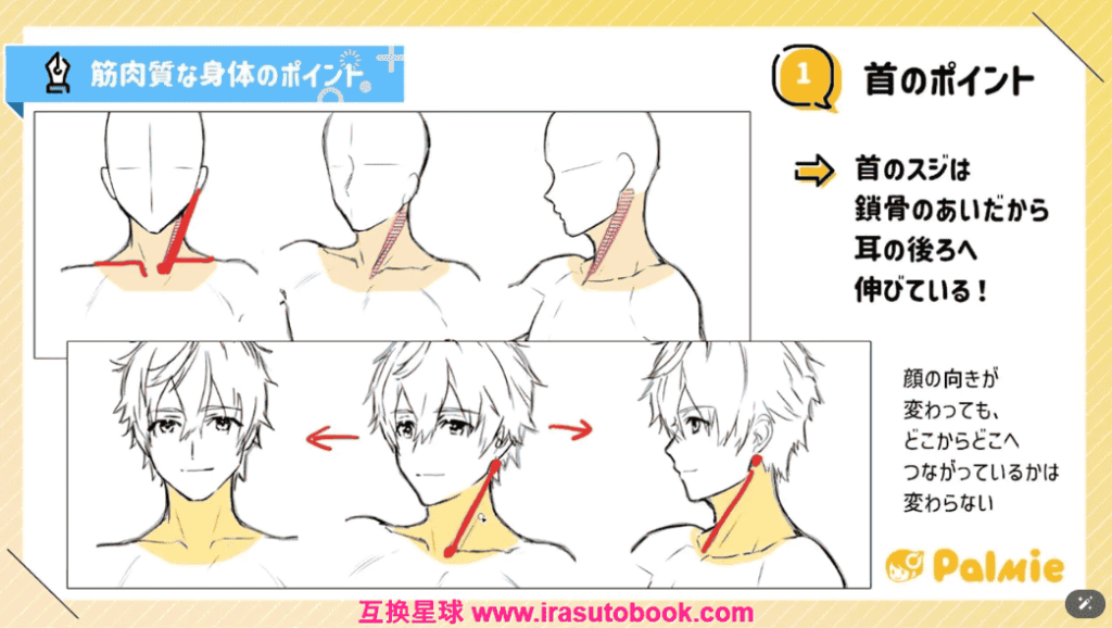 [日韩课程]体型绘制技巧课程[高清画质]