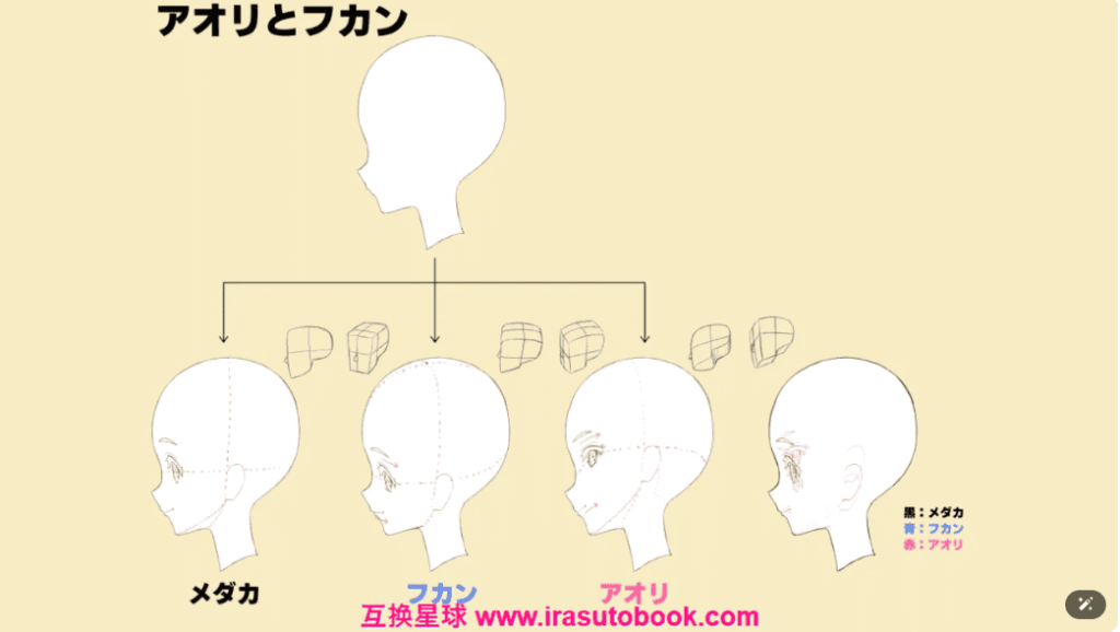 [日韩课程]侧脸集中讲座课程[高清画质]