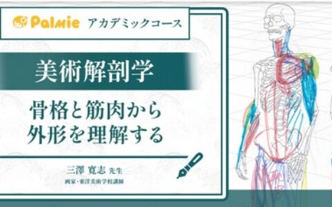 [日韩课程]美术解剖学：骨骼与肌肉外形的理解[高清画质]