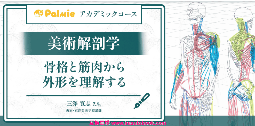 [日韩课程]美术解剖学：骨骼与肌肉外形的理解[高清画质]