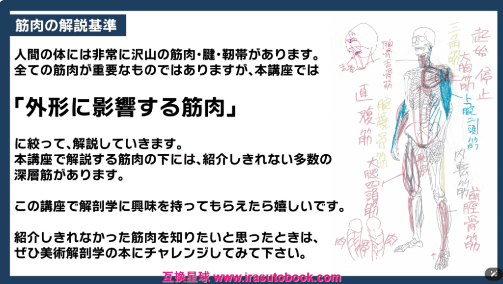 [日韩课程]美术解剖学：骨骼与肌肉外形的理解[高清画质]