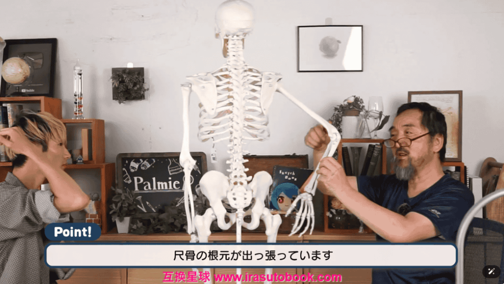 [日韩课程]美术解剖学：骨骼与肌肉外形的理解[高清画质]