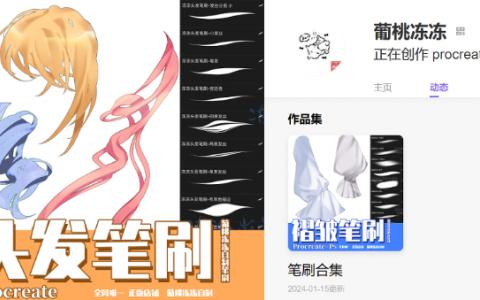 [爱发电][自购]头发笔刷 Procreate专用[葡萄冻冻]