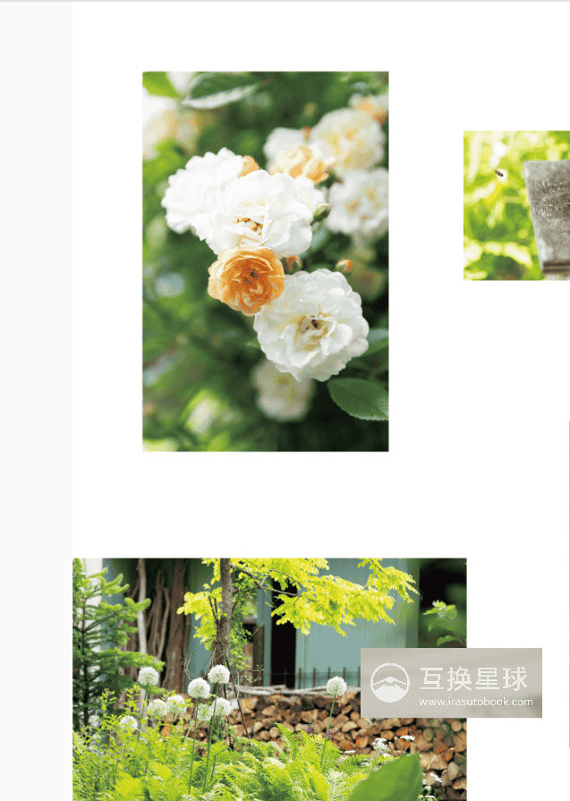 [已完成]BOTANICAL DIARY零基础植物画[136P]