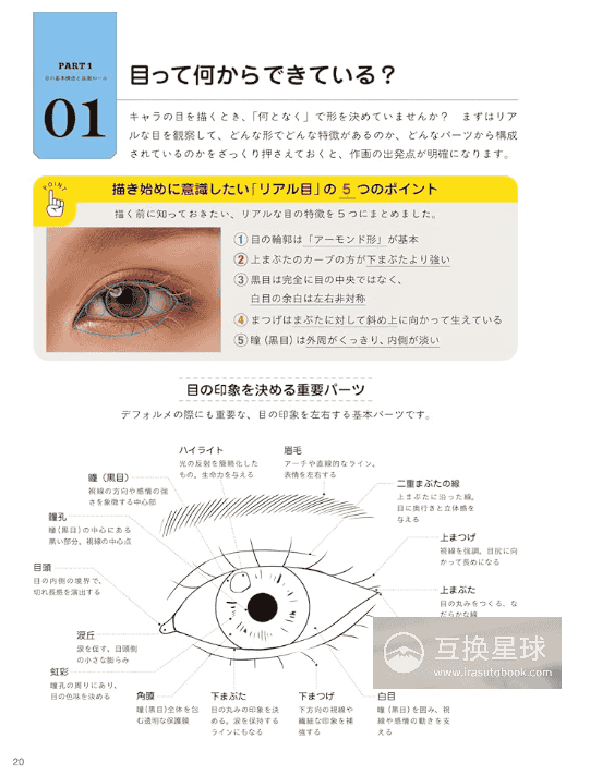 [互换中]眼睛画法区分图鉴：从基本结构到部件[160P]