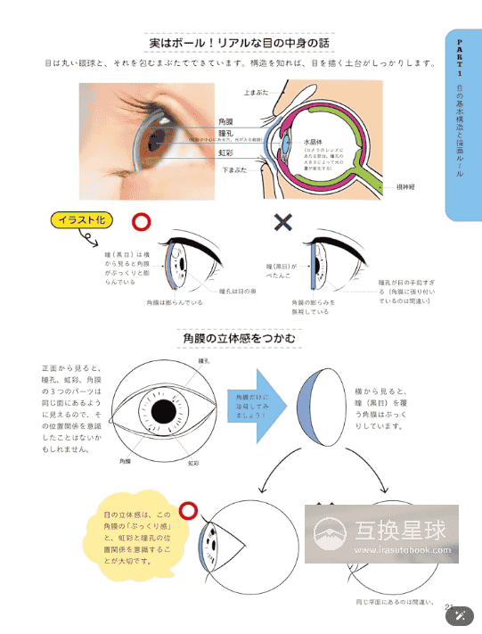[互换中]眼睛画法区分图鉴：从基本结构到部件[160P]