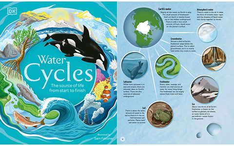 [星球图库]Water Cycles: The Source of Life from Start to Finish[146P]