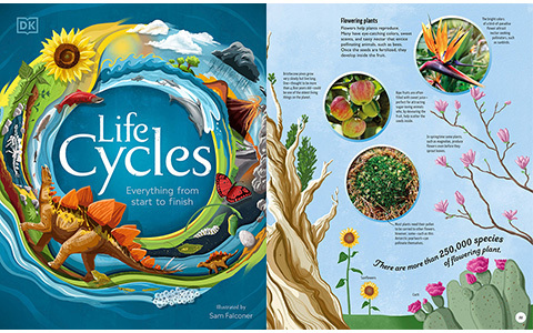 [星球图库]Life Cycles: Everything from Start to Finish[146P]