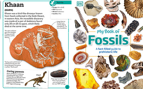[星球图库]My Book of Fossils: A Fact-filled Guide to Prehistoric Life[98P]