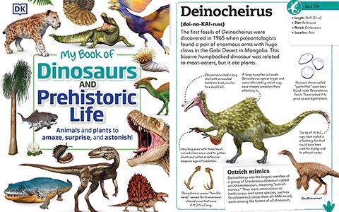 [星球图库]My Book of Dinosaurs and Prehistoric Life[98P]