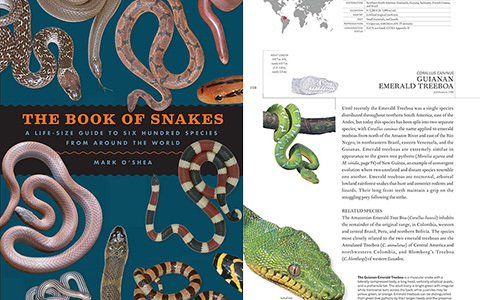 [星球图库]The Book of Snakes: A Life-Size Guide to Six Hundred Species from Around the World[657P]
