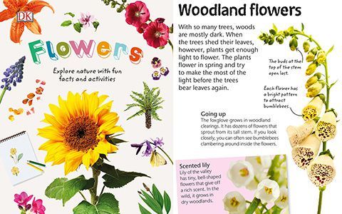 [星球图库]Flowers: Explore Nature with Fun Facts and Activities[61P]