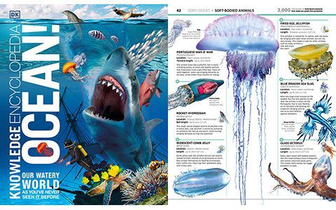 [星球图库]Knowledge Encyclopedia Ocean[208P]