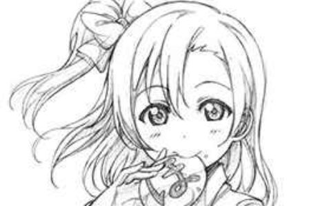 [新手练习线稿][LoveLive!]高坂穗乃果[13P]