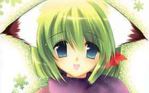 [画集][REI’s ROOM(REI)]Midori Style[50P]