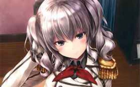 [画集][翠苑 (翠燕)]WALNUT78 9th 舰娘同人画集[18P]
