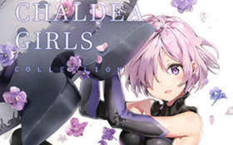 [画集][メガネ少女(Anmi)]CHALDEA GIRLS COLLECTION[09P]