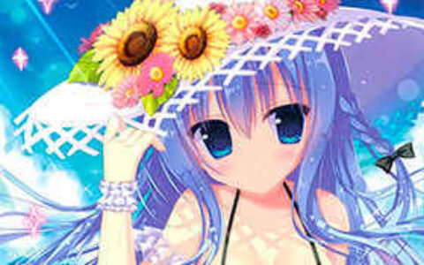 [画集][はすねや(はすね)]SWIMWEAR COLLECTION[11P]