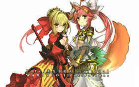 [画集][ワダアルコ]Fate/EXTRA material ワダアルコ illustrations[48P]