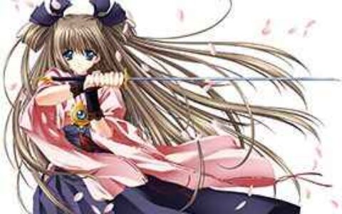 [画集]Carnelian Illust Collection[10]