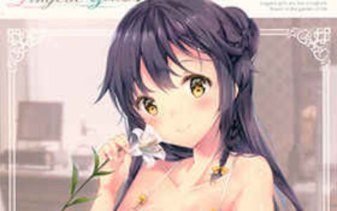 [画集][Oracle Eggs(すいひ)]Lingerie Girls[18P]