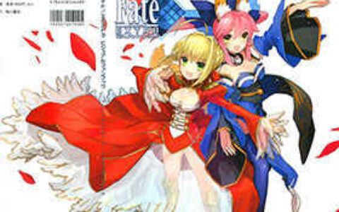 [画集]Fate/Extra Visual Fanbook[140P]