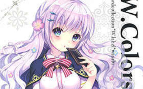 [画集][W.label (和錆)]W.colors 2013 cardcollection[09P]