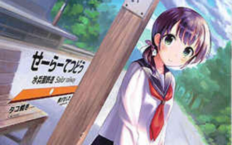 [画集][焦げました(タコ焼き)]sailor railway[15P]
