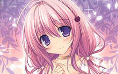 [画集][祭社 (ななろば華)]HANA WORKS 8[13P]