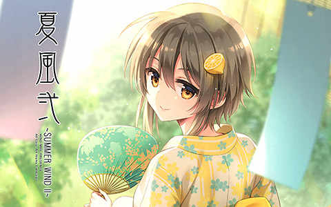 [画集][WIND MAIL (An2A)]夏風弐 ～SUMMER WIND II～[11P]