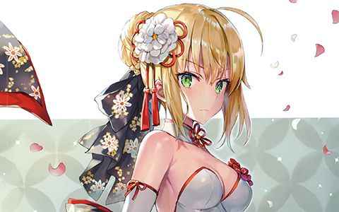 [画集][さしみねこ屋 (ももこ)]Fate collection[14P]