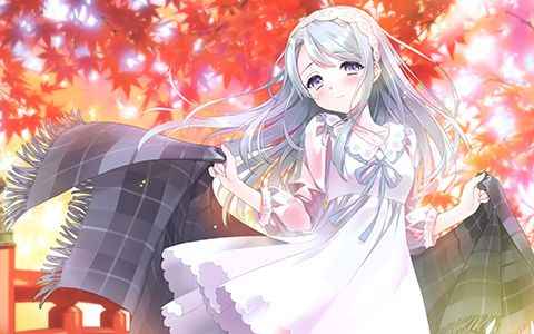[画集][CARNELIAN]KANCOLLE BENIGYOKUZUI EX-11 舰娘同人画集[08P]