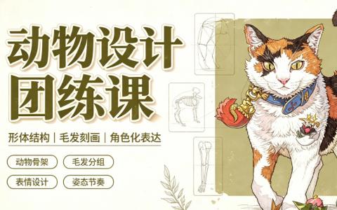 [课程]动物设计团练课[高清画质]