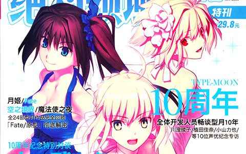 [画集]绝对领域TYPE-MOON 10周年纪念特辑[140P]