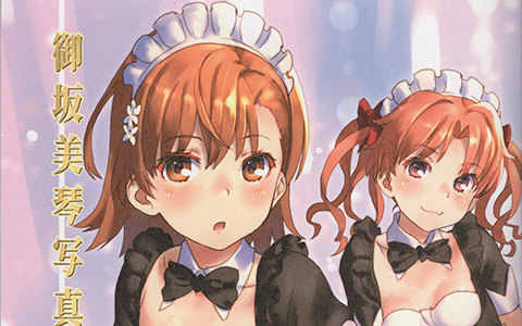 [画集][Chillin Party (Raika9)]御坂美琴写真集 10[32P]