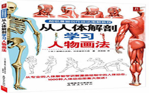 [已完成]超级漫画创作技法图解教程 从人体解剖学习人物画法[198P]