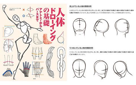 [已完成]人体绘画基础 从解剖到透视[281P]