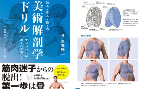 [互换中]认知·观察·绘画 美术解剖学练习册[356P]