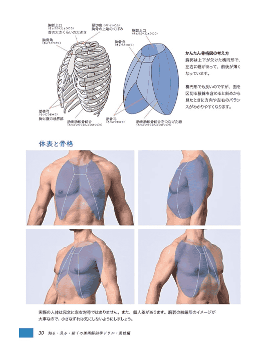 [互换中]认知·观察·绘画 美术解剖学练习册[356P]