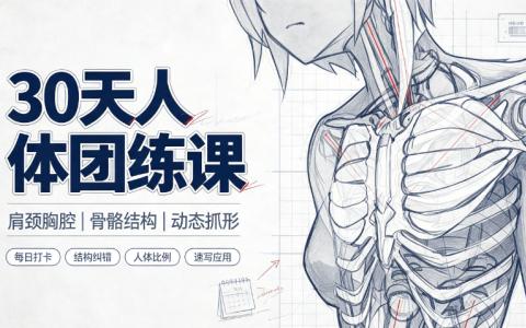 [课程]30天人体团练课[高清画质]