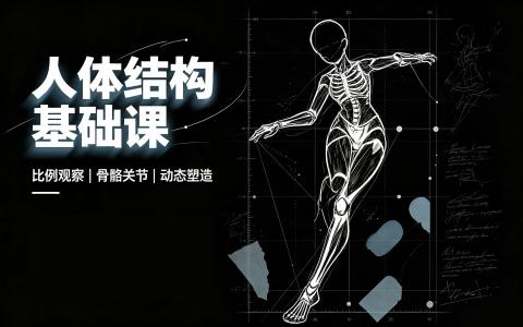 [课程]人体结构基础课[高清画质]
