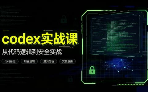 [课程]CODEX实战课[高清画质]
