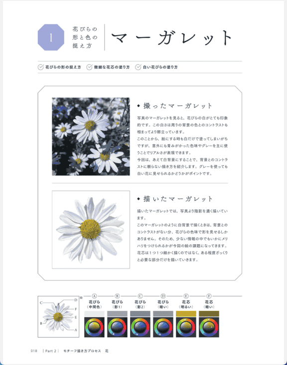 [已完成]照片质感插画全流程｜ILLUSTRATION MASTER CLASS[158P]