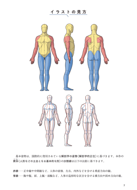 [互换中]动态姿势美术解剖学[1568P]