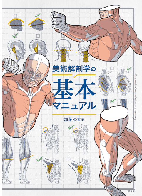 [互换中]美术解剖学基础手册[512P]