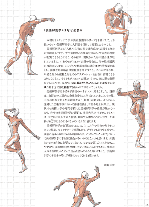 [互换中]美术解剖学基础手册[512P]