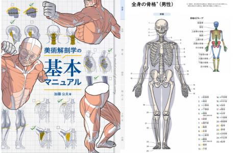 [互换中]美术解剖学基础手册[512P]